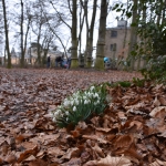 DSC_2701.jpg